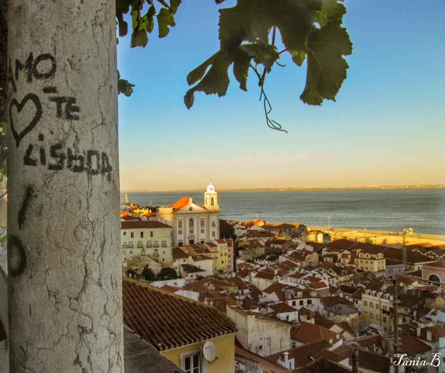 Live Alfama Lejlighed Lisboa Værelse billede